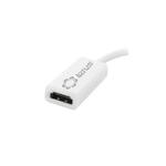 Conversor Mini Displayport Para Hdmi Fêmea 22 Centímetros DISPLAYPORT GENERICO